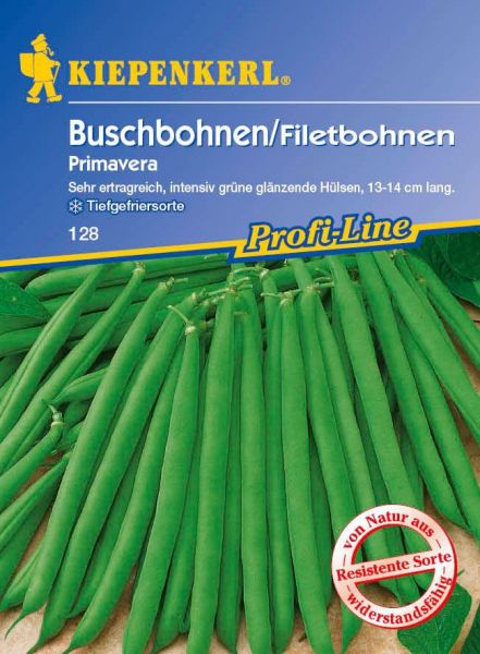 Kiepenkerl Buschbohnen/Filetbohnen Primavera