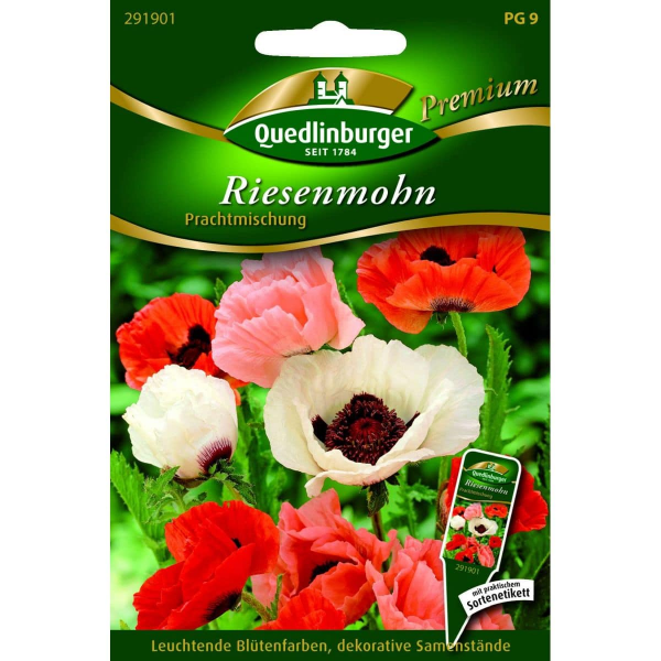 Quedlinburger Saatgut Riesenmohn Prachtmischung - 291901