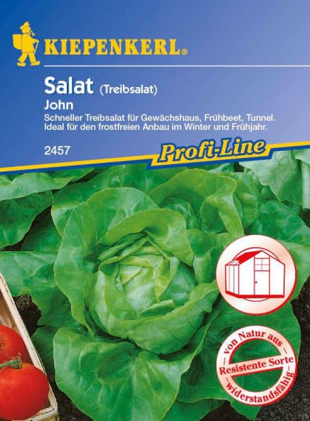 Kiepenkerl Salat (Kopfsalat/Treibsalat) John