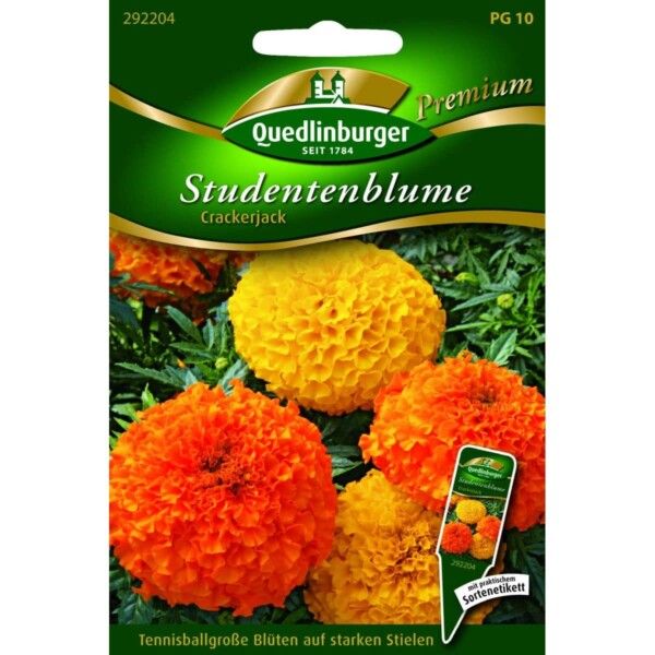 Quedlinburger Saatgut Studentenblume Crackerjack - 292204