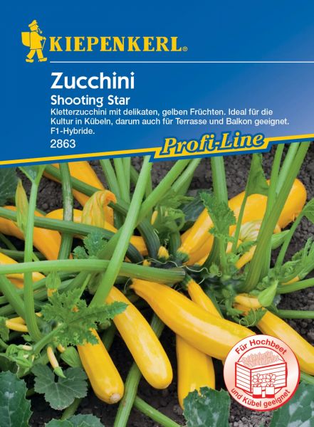 Kiepenkerl Zucchini - Shooting Star