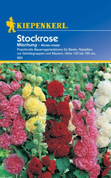 Stockrose Mischung - Alcea rosea