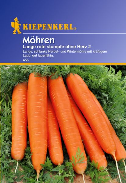 Kiepenkerl Möhren Lange rote stumpfe ohne Herz 2