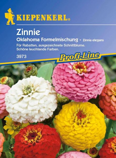 Kiepenkerl Zinnie Oklahoma Formelmischung - Zinnia elegans