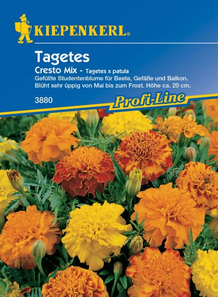 Kiepenkerl Tagetes - Cresto Mix - Tagetes x patula