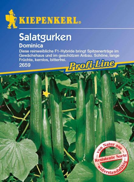 Kiepenkerl Salatgurken Dominica