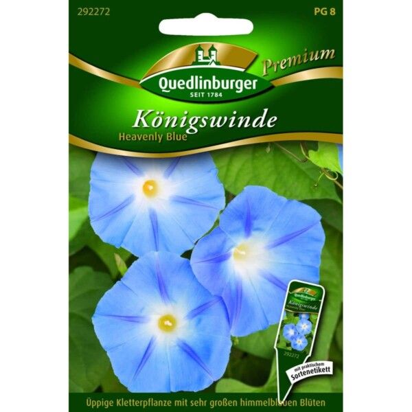 Quedlinburger Saatgut Königswinde Heavenly Blue - 292272