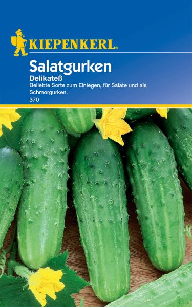 Kiepenkerl Salatgurken Delikateß