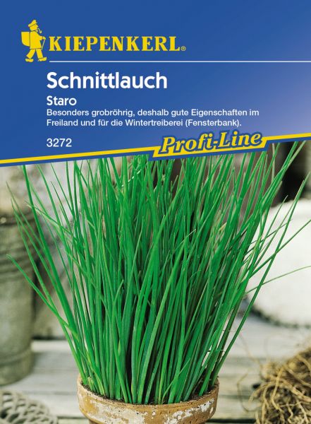 Kiepenkerl Schnittlauch Staro