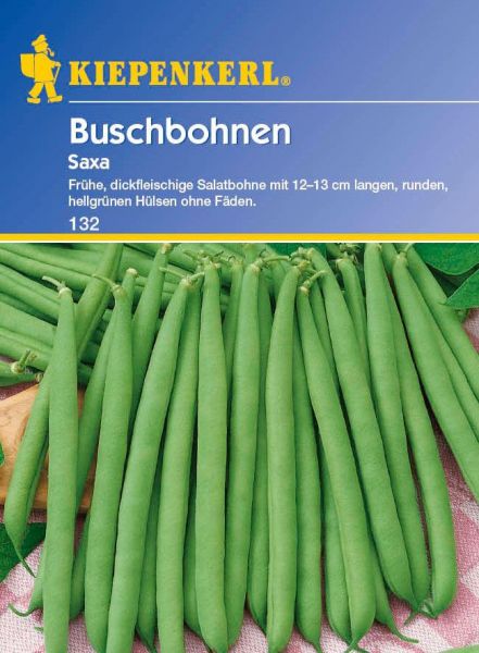 Kiepenkerl Buschbohnen Saxa