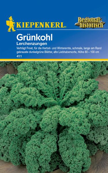 Kiepenkerl Grünkohl Lerchenzungen - Brassica oleracea var. sabellica