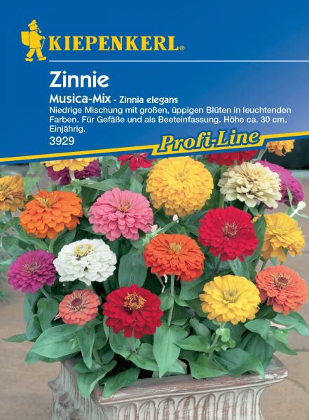 Kiepenkerl Zinnie - Musica-Mix - Zinnia elegans