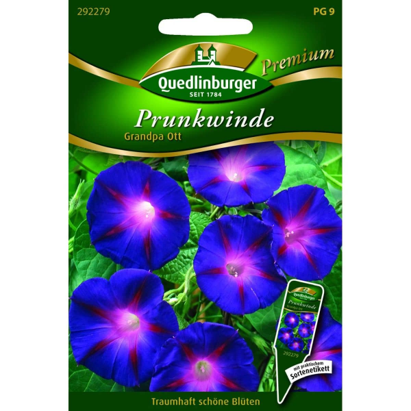 Quedlinburger Saatgut Prunkwinde Grandpa Ott - 292279