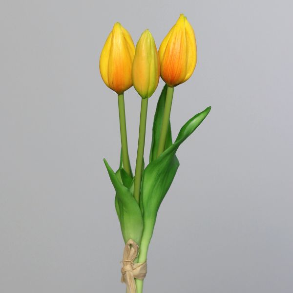 Tulpenbund dark-yellow