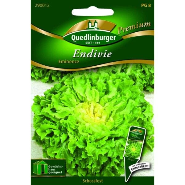 Quedlinburger Saatgut Endivie Eminence - 290012