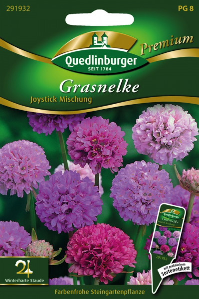 Quedlinburger Saatgut Grasnelke Joystick Mischung - 291932