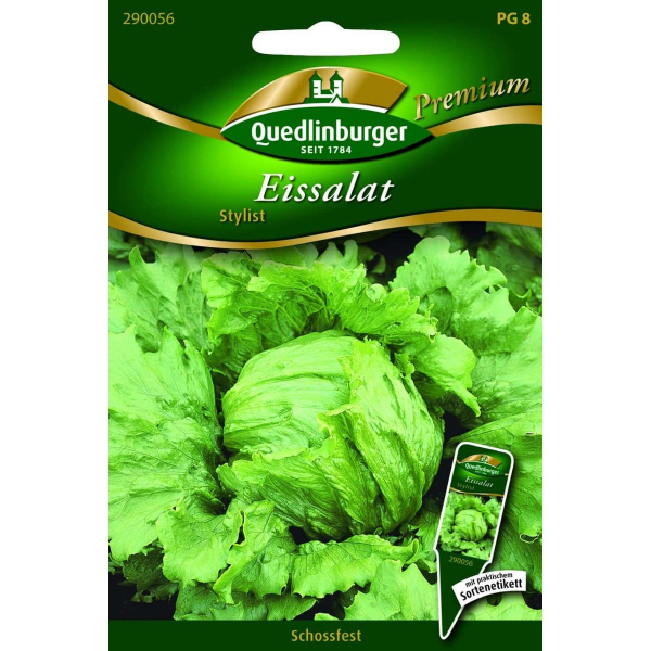 Quedlinburger Saatgut Eissalat Stylist - 290056