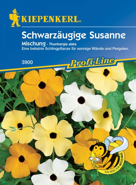 Kiepenkerl Schwarzäugige Susanne - Mischung - Thunbergia alata