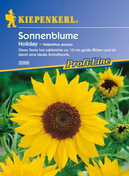 Kiepenkerl Sonnenblume Holiday - Helianthus annuus