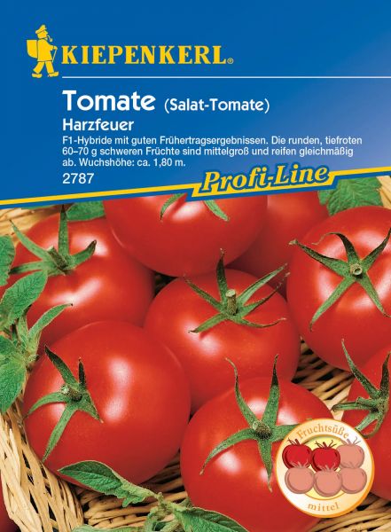 Kiepenkerl Tomate (Salat-Tomate) - Harzfeuer