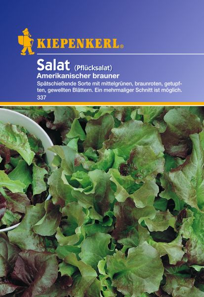 Kiepenkerl Salat (Pflücksalat) Amerikanischer brauner