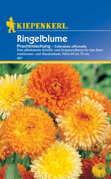 Kiepenkerl Ringelblume Prachtmischung - Calendula officinalis