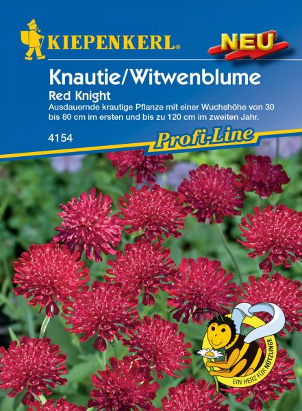 Kiepenkerl Knautie/Witwenblume - Red Knight