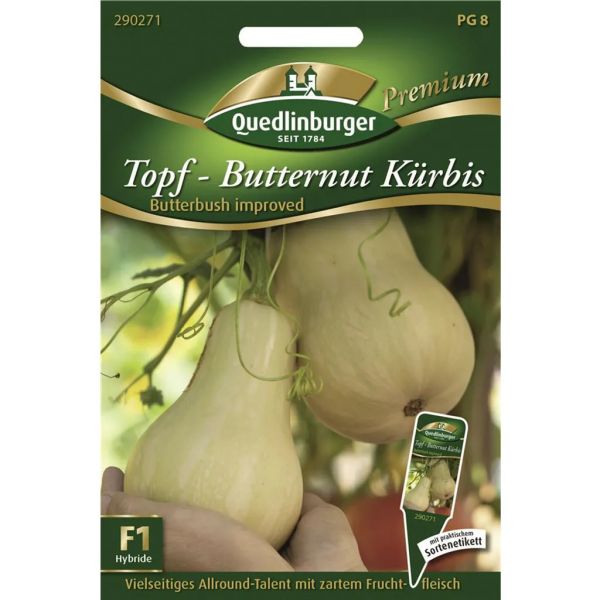 Quedlinburger Saatgut Topf-Butternut-Kürbis Samen - 290271