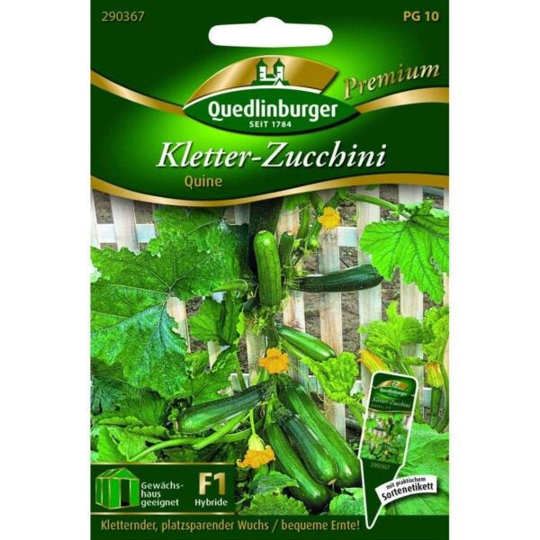 Quedlinburger Saatgut Zucchini Kletter- Quine Samen - 290367