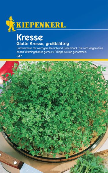 Kiepenkerl Kresse - Glatte Kresse, großblättrig