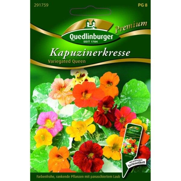 Quedlinburger Saatgut Kapuzinerkresse Variegated Queen - 291759