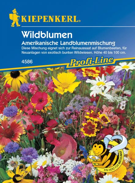 Kiepenkerl Wildblumen - Amerikanische Landblumenmischung