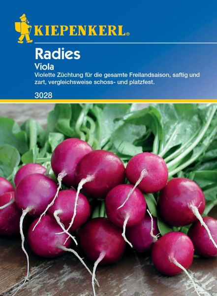 Kiepenkerl Radies - Viola