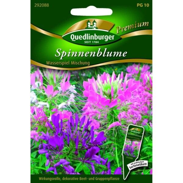 Quedlinburger Saatgut Spinnenblume Wasserspiel Mischung - 292088