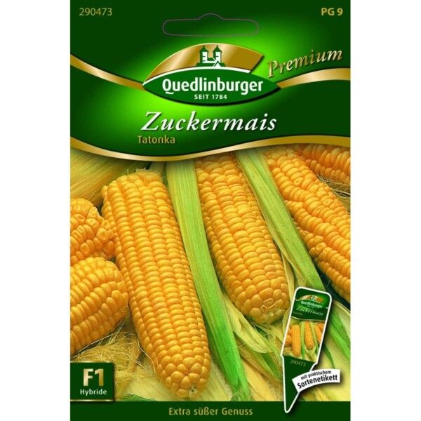 Quedlinburger Saatgut Zuckermais Tatonka Samen - 290473