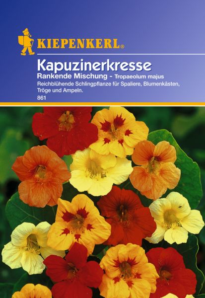 Kiepenkerl Kapuzinerkresse Rankende Mischung - Tropaeolum majus