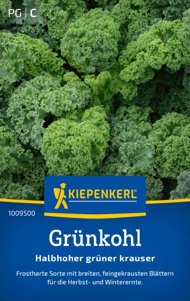 Kiepenkerl Grünkohlsamen Halbhoher grüner krauser
