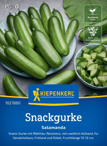 Kiepenkerl Snackgurkensamen Salamanda, F1