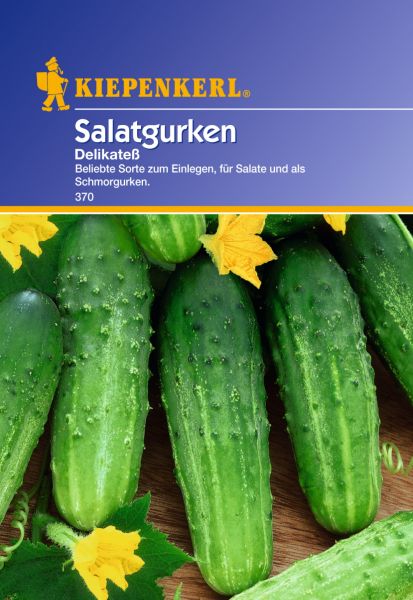 Kiepenkerl Salatgurken Delikateß