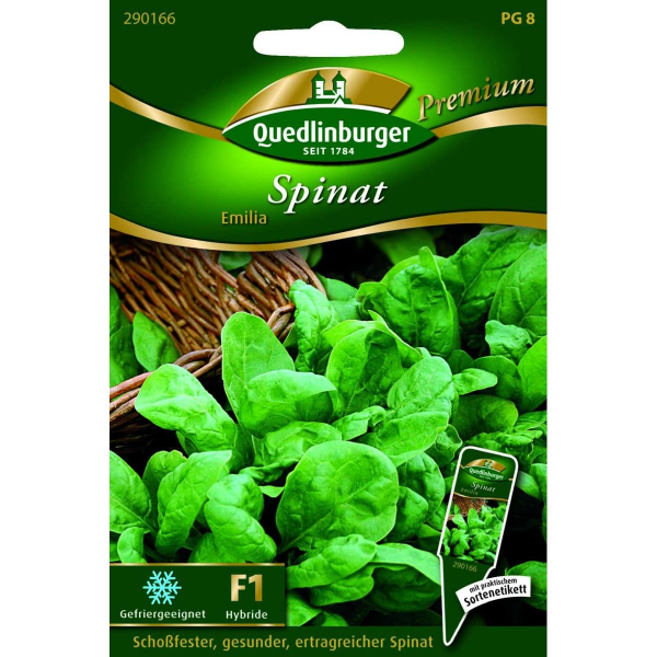 Quedlinburger Saatgut Spinat Emilia - 290166