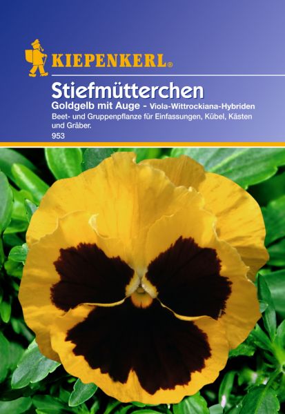 Kiepenkerl Stiefmütterchen Goldgelb mit Auge - Viola-Wittrockiana-Hybriden