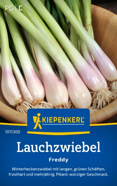 Kiepenkerl Lauchzwiebelsamen Freddy
