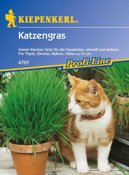 Kiepenkerl Katzengras