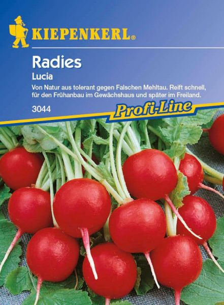 Kiepenkerl Radies Lucia