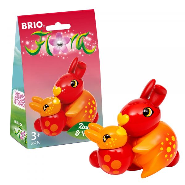 Brio - Flora 36216, Zinnia und Peach