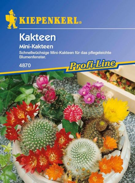 Kiepenkerl Kakteen Mini - Kakteen, Mischung schnellblühender Arten