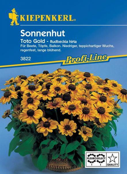 Kiepenkerl Sonnenhut - Toto Gold - Rudbeckia hirta