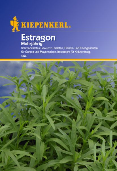 Kiepenkerl Estragon Mehrjährig