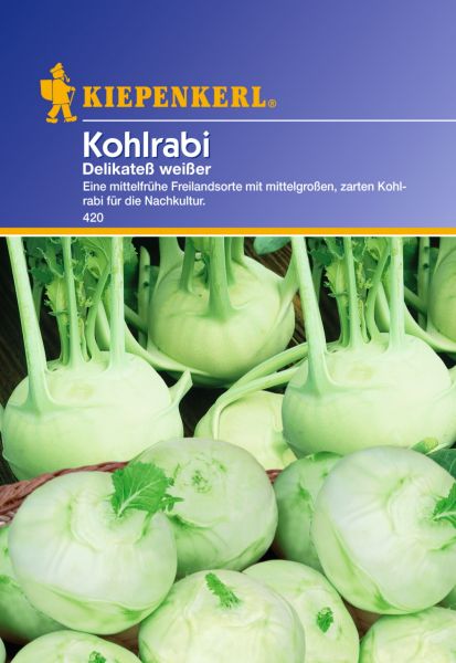 Kiepenkerl Kohlrabi Delikateß weißer