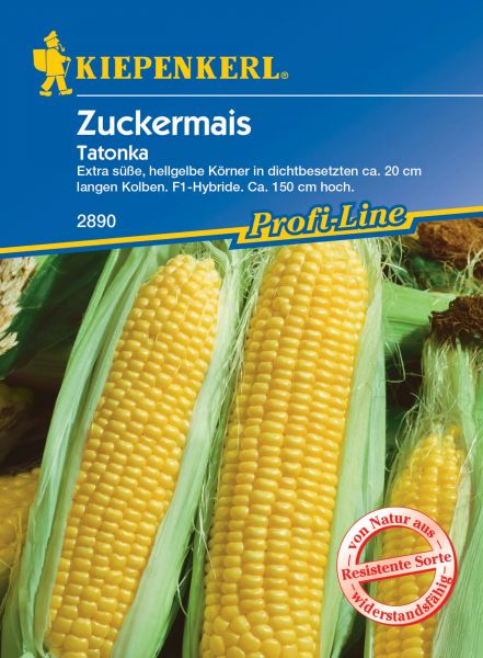Kiepenkerl Zuckermais Tatonka